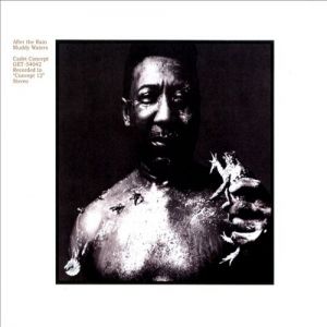 Muddy Waters After the Rain, 1969