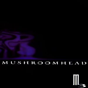 Mushroomhead M3, 1999