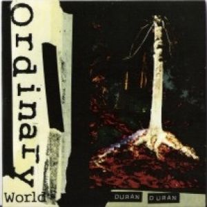 Ordinary World Album 