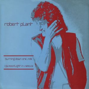 Album Robert Plant - Burning Down One Side