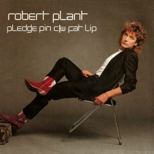 Robert Plant Pledge Pin, 1982