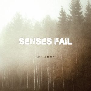 Album Mi Amor - Senses Fail