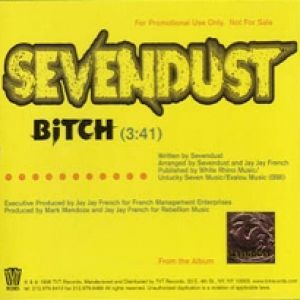 Bitch - Sevendust