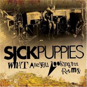 Album Sick Puppies - What Are You Looking For