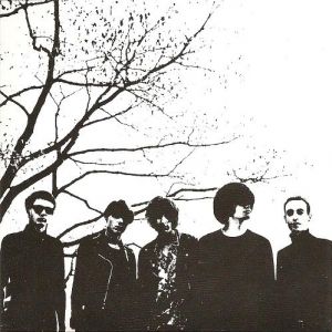 The Horrors Mirror's Image, 2009