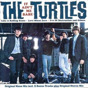 Album The Turtles - It Ain