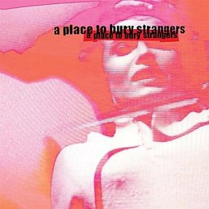 A Place to Bury Strangers : Missing You