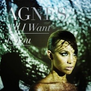 Album Agnes - All I Want Is You