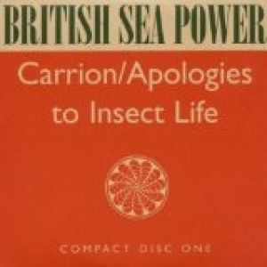 British Sea Power Carrion / Apologies to Insect Life, 2003
