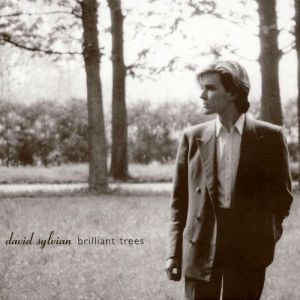 Album Brilliant Trees - David Sylvian