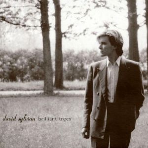 Brilliant Trees - David Sylvian