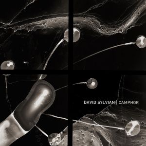 Album Camphor - David Sylvian