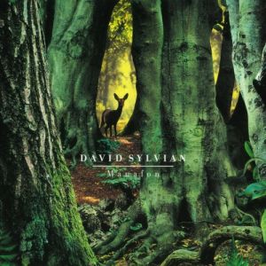 Album David Sylvian - Manafon