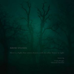 David Sylvian : There's a Light That Enters Houses With No Other House in Sight