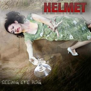 Helmet : Seeing Eye Dog