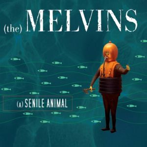 Album Melvins - (A) Senile Animal