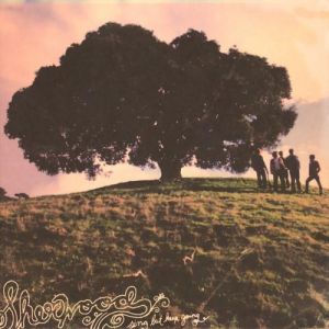 Album Sherwood - Sing, but Keep Going