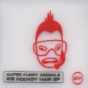Super Furry Animals : Ice Hockey Hair