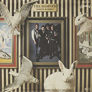 White Rabbit - The Damned