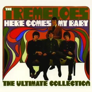 Album The Tremeloes - Here Comes My Baby: The Ultimate Collection