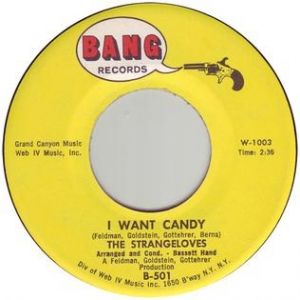 The Tremeloes I Want Candy, 1965