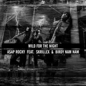 Album ASAP Rocky - Wild for the Night