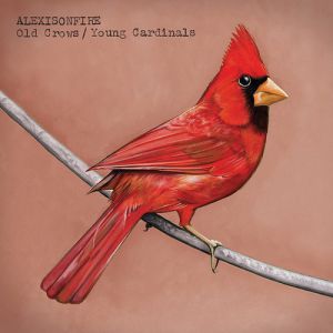 Old Crows / Young Cardinals - album
