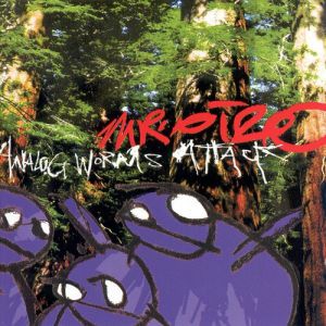 Album Mr. Oizo - Analog Worms Attack