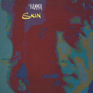 Album Peter Hammill - Skin