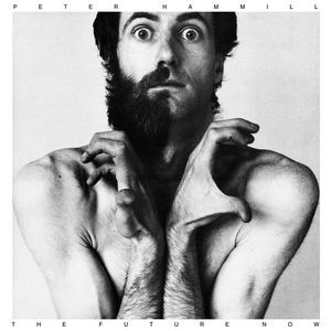 Peter Hammill The Future Now, 1978