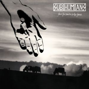 Album From the Cradle to the Grave - Subhumans