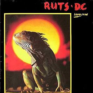 Album The Ruts - Animal Now