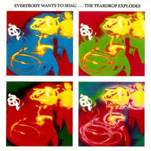 Album The Teardrop Explodes - Everybody Wants to Shag...
