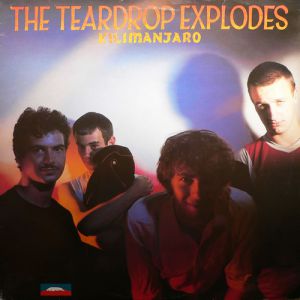 The Teardrop Explodes Kilimanjaro, 1980