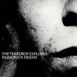 Album The Teardrop Explodes - Passionate Friend