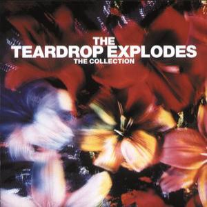 Album The Teardrop Explodes - The Collection