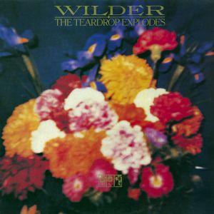 Album The Teardrop Explodes - Wilder