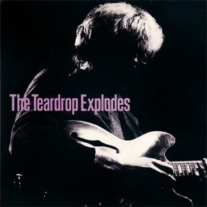 The Teardrop Explodes You Disappear From View, 1990