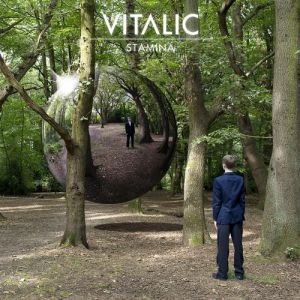 Album Vitalic - Stamina