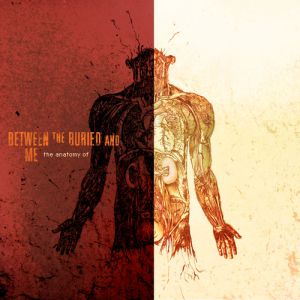 Album The Anatomy Of - Between the Buried and Me