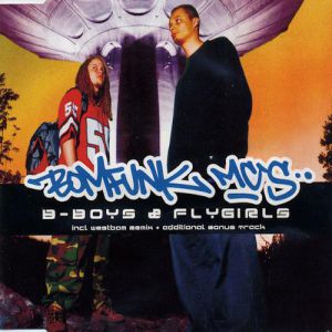 B-Boys & Flygirls - album