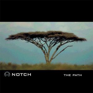 Album Carbon Based Lifeforms - The Path