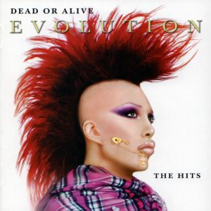 Evolution: The Hits - album