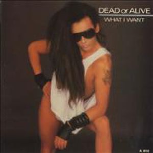 What I Want - Dead or Alive