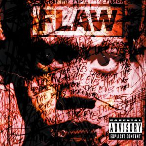 Album Flaw - Through the Eyes