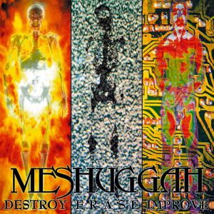 Album Destroy Erase Improve - Meshuggah