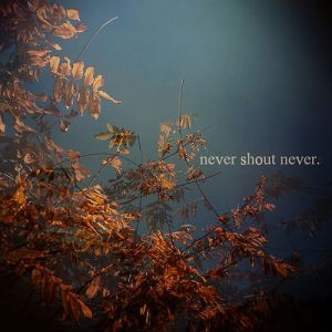 Never Shout Never Never Shout Never, 2009