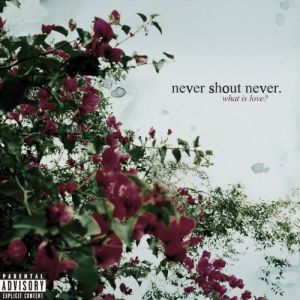 Album What Is Love? - Never Shout Never