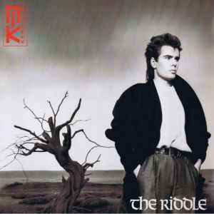 The Riddle - album