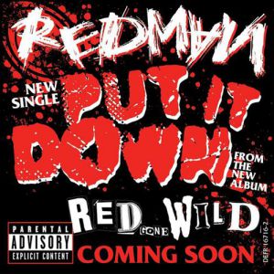 Album Put It Down - Redman